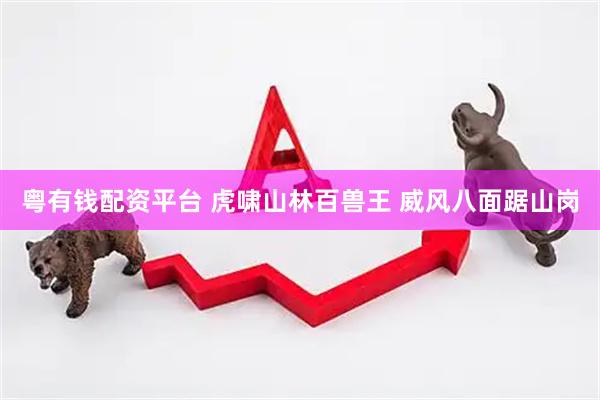 粤有钱配资平台 虎啸山林百兽王 威风八面踞山岗