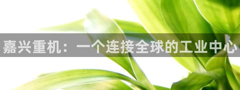 万事达娱乐63390好