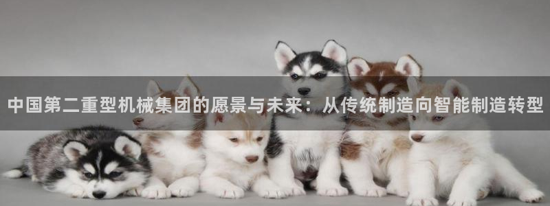 万事2娱乐怎么样