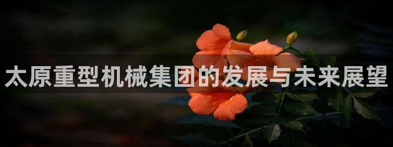 万事娱乐化