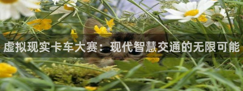 万事2娱乐总代