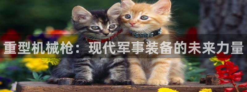 娱乐万事通焦作