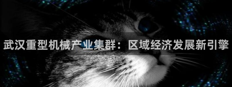 万事娱乐的介绍词