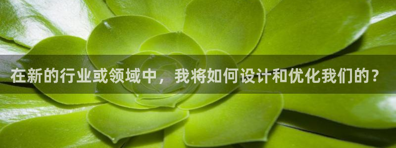 万事娱乐总裁简介
