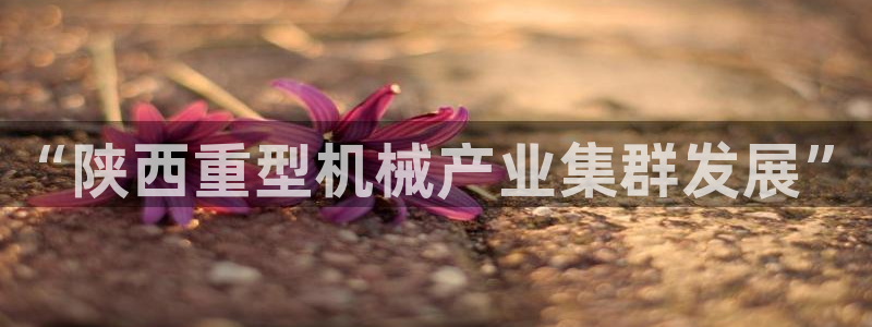 万事博网上娱乐