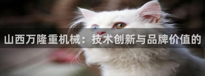 万事娱乐平台怎么样了啊