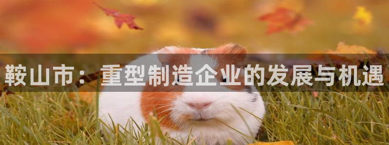 万事达娱乐闻21000