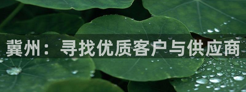 跟万事娱乐一样的平台