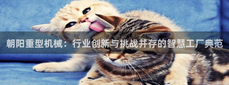 娱乐万事乐