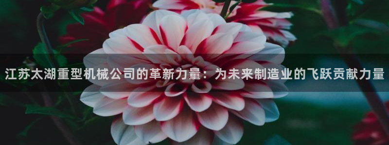 万事达娱乐唐善良