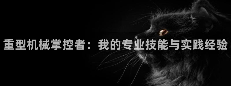 万事娱乐邵然