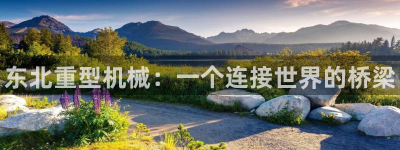 万事达娱乐唐善良