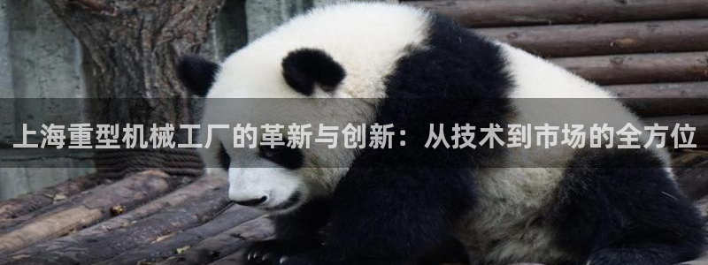 万事达娱乐朱善良