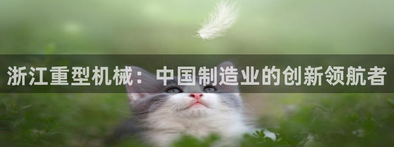 万事如意娱乐模式