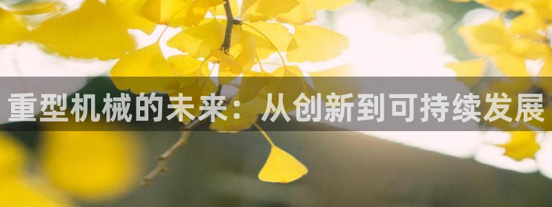 万事达娱乐f 判官