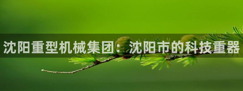 万事达娱乐胡善良