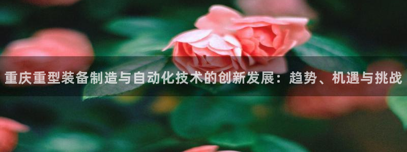 万事达娱乐网址