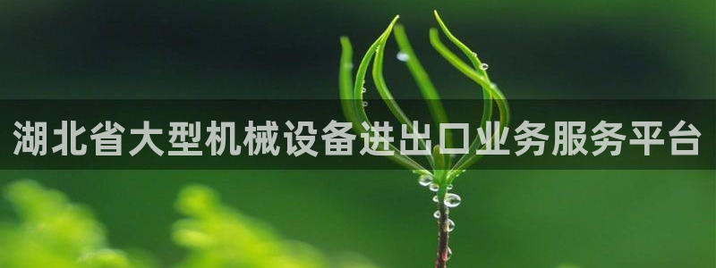 万事娱乐的介绍