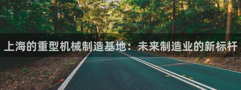 万事达娱乐股东