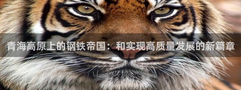 万事娱乐说