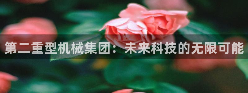万事娱乐官网
