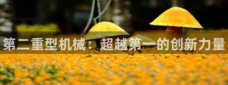 万事娱乐首页入口网址