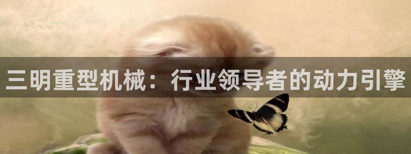 万事娱乐app下载