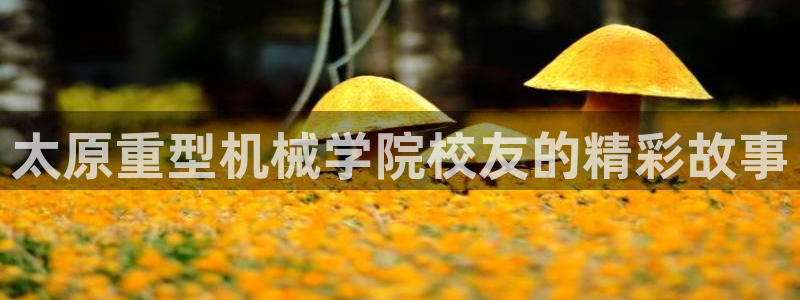 万事达娱乐f 判官